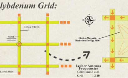 Jiten’s Molybdenum Grid