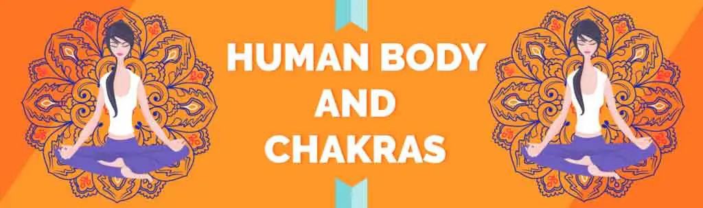 Chakras And Human Body